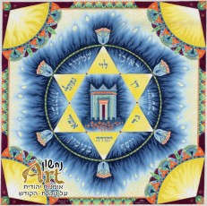 0876 Magen David with 12 Tribes (Custom)